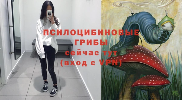 СК Киреевск