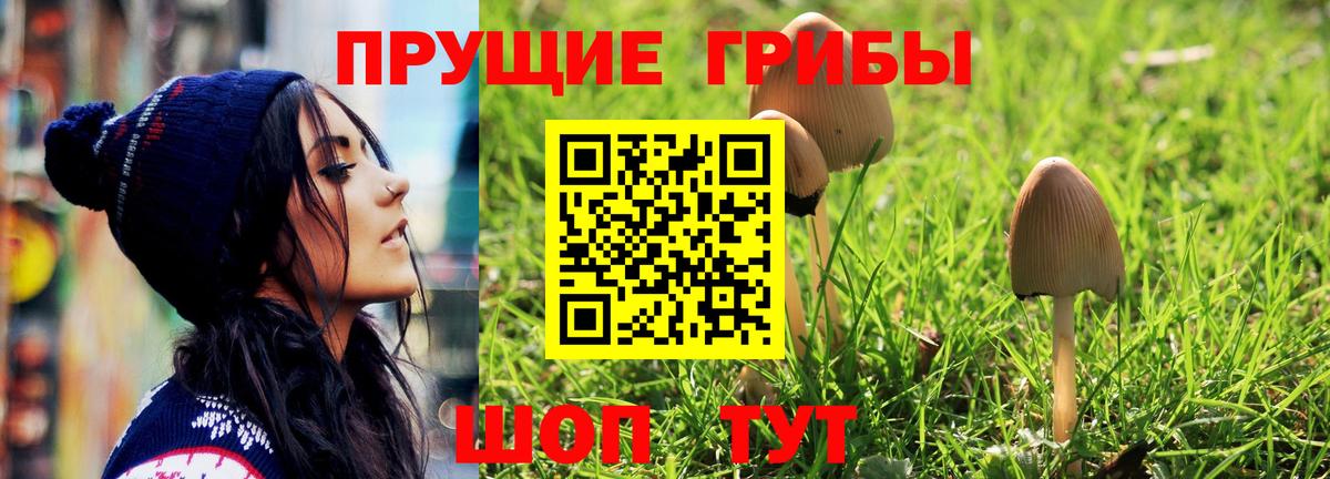Псилоцибиновые грибы прущие грибы  Коммунар  Галлюциногенные грибы Magic Shrooms 