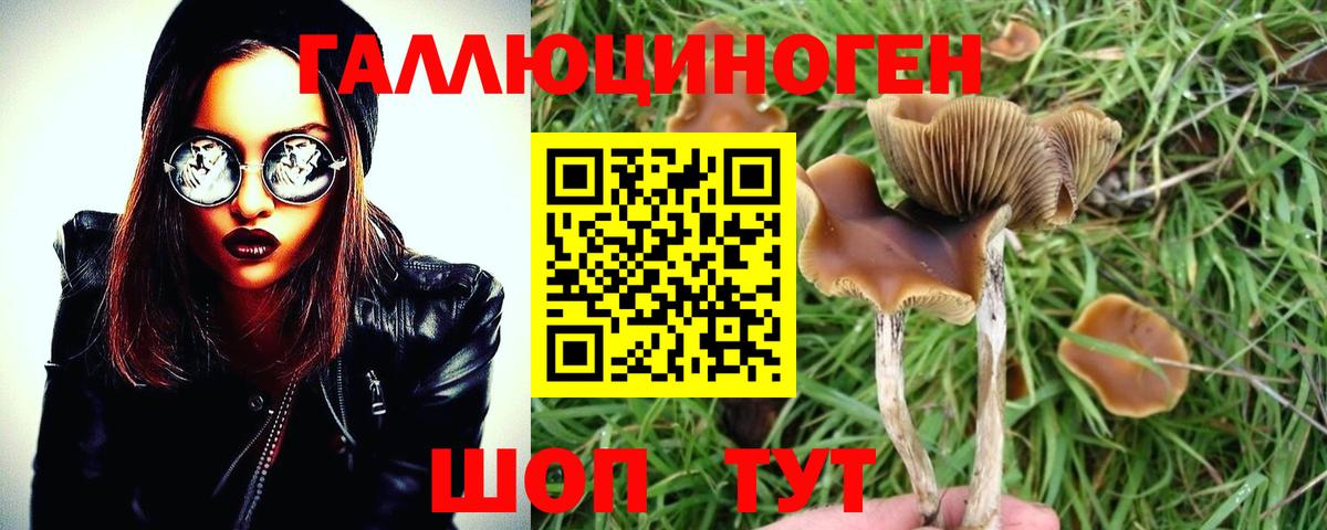 Коммунар  Псилоцибиновые грибы GOLDEN TEACHER  Вход с VPN 